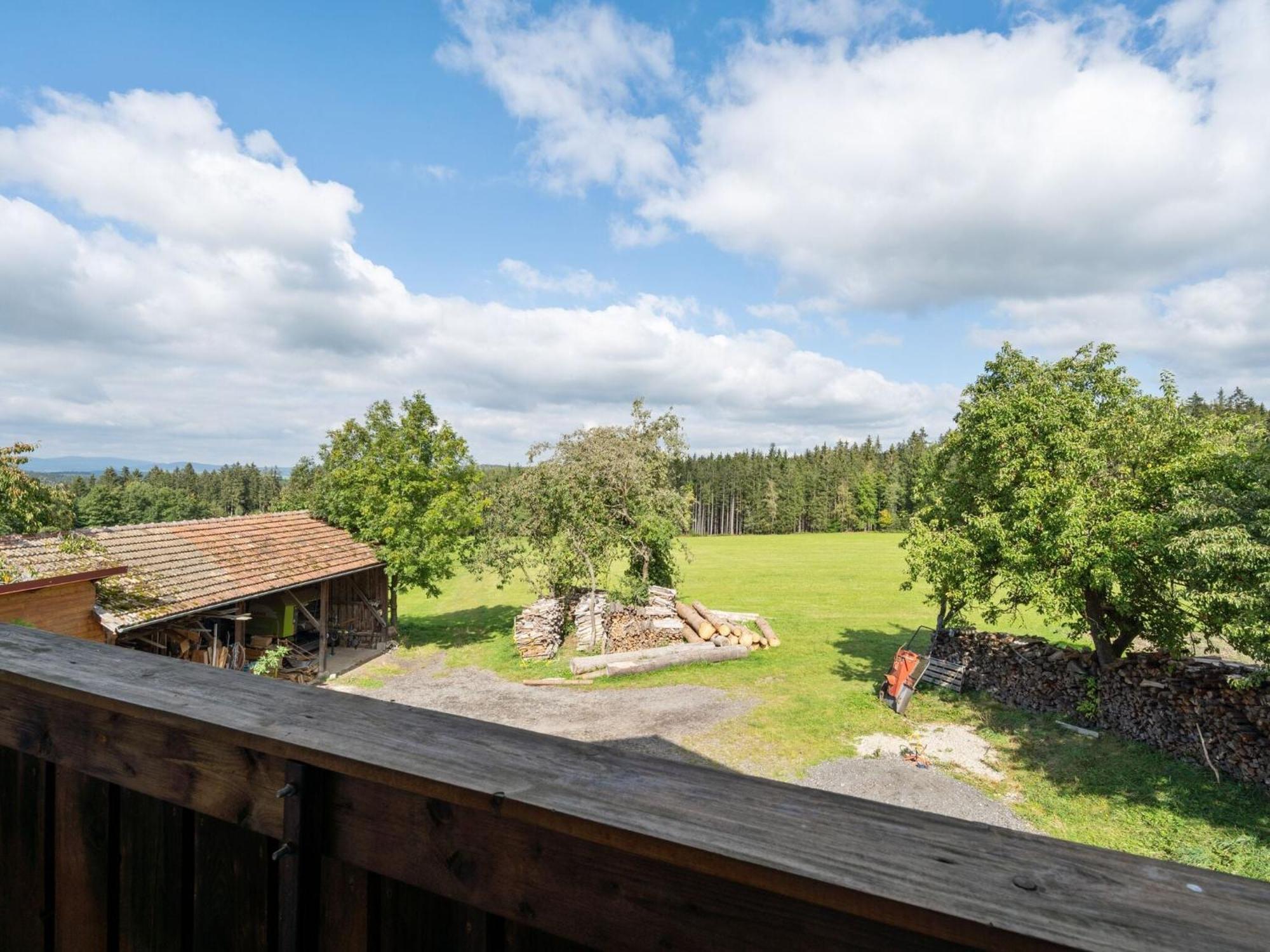 Apartment On A Farm Near The Ski Area Neukirchen beim Heiligen Blut Exterior foto