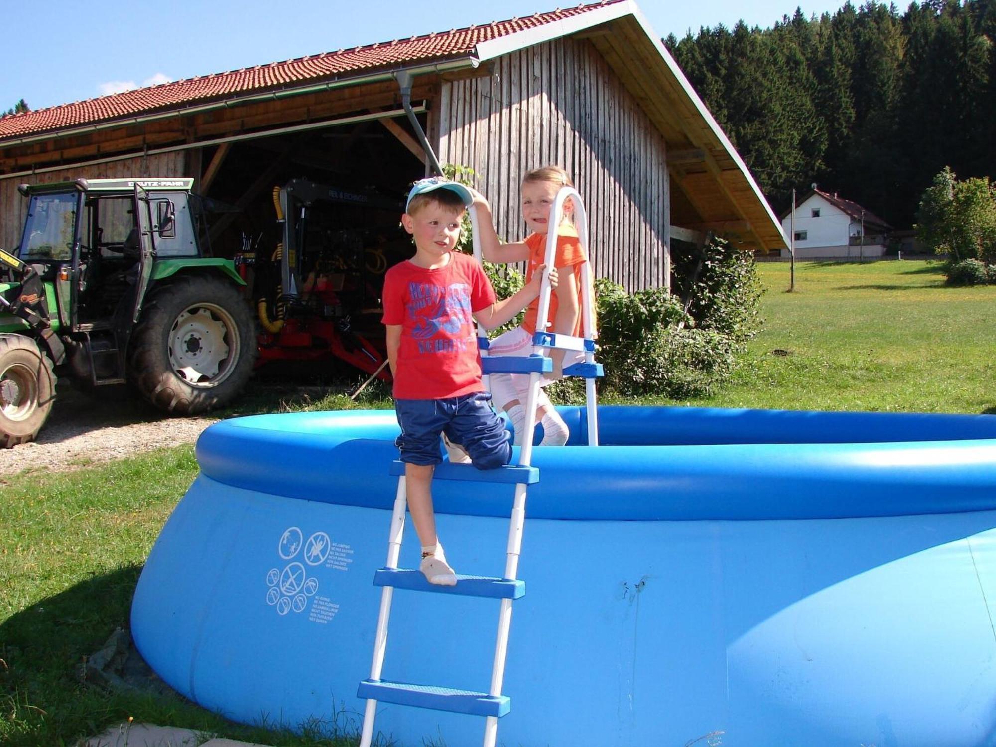 Apartment On A Farm Near The Ski Area Neukirchen beim Heiligen Blut Exterior foto